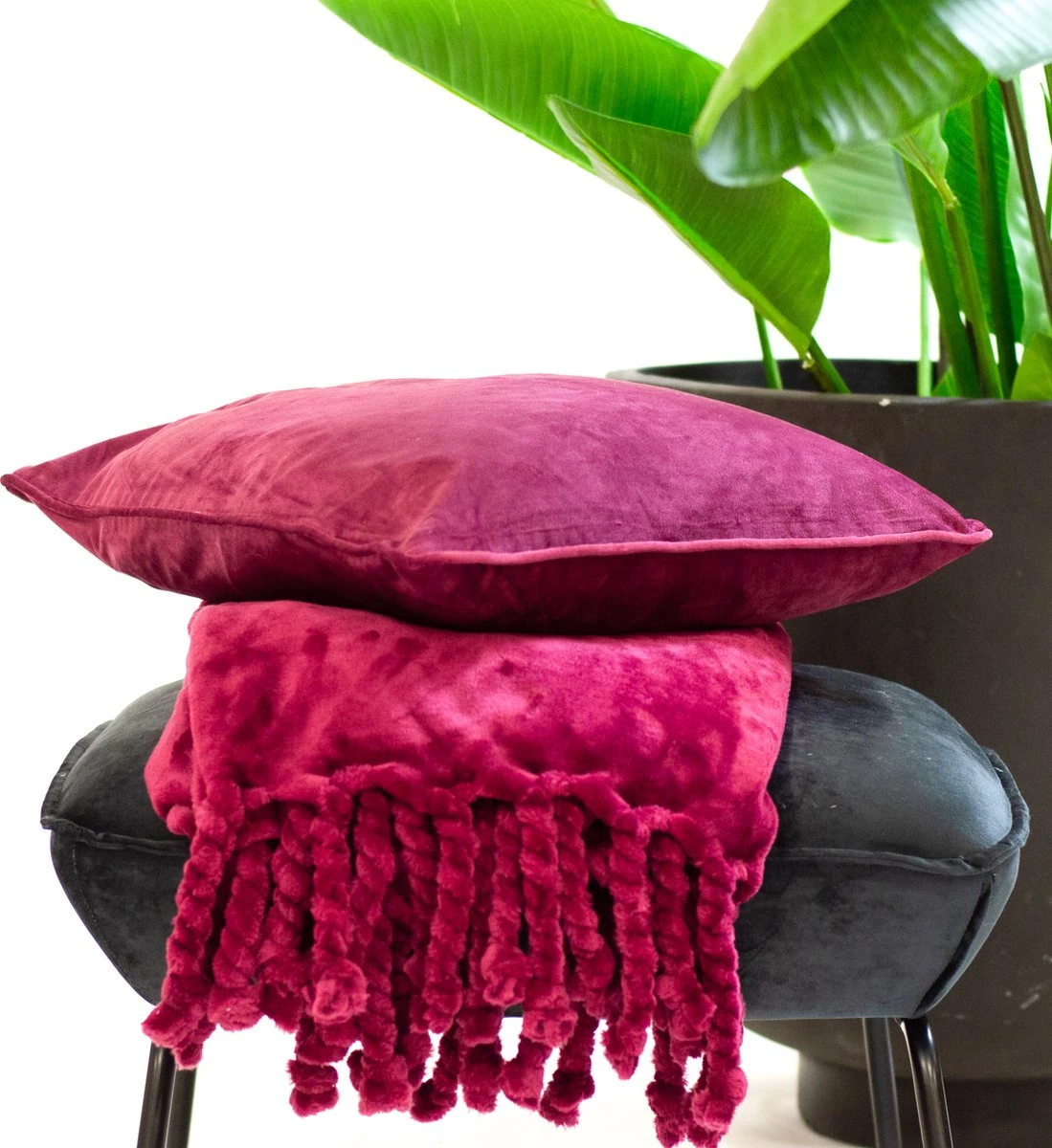 Dutch Decor - FLORIJN - Plaid Fleece 150x200 Cm - Red Plum - Donkerroze - Superzacht - Met Franjes - Deken 4 Dutch Decor - FLORIJN - Plaid Fleece 150x200 Cm - Red Plum - Donkerroze - Superzacht - Met Franjes - Deken - Afbeelding 4