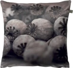 POPPY - Kussenhoes Velvet 45x45 Cm - Gedroogde Papaver - Taupe - Bruin - Met Rits