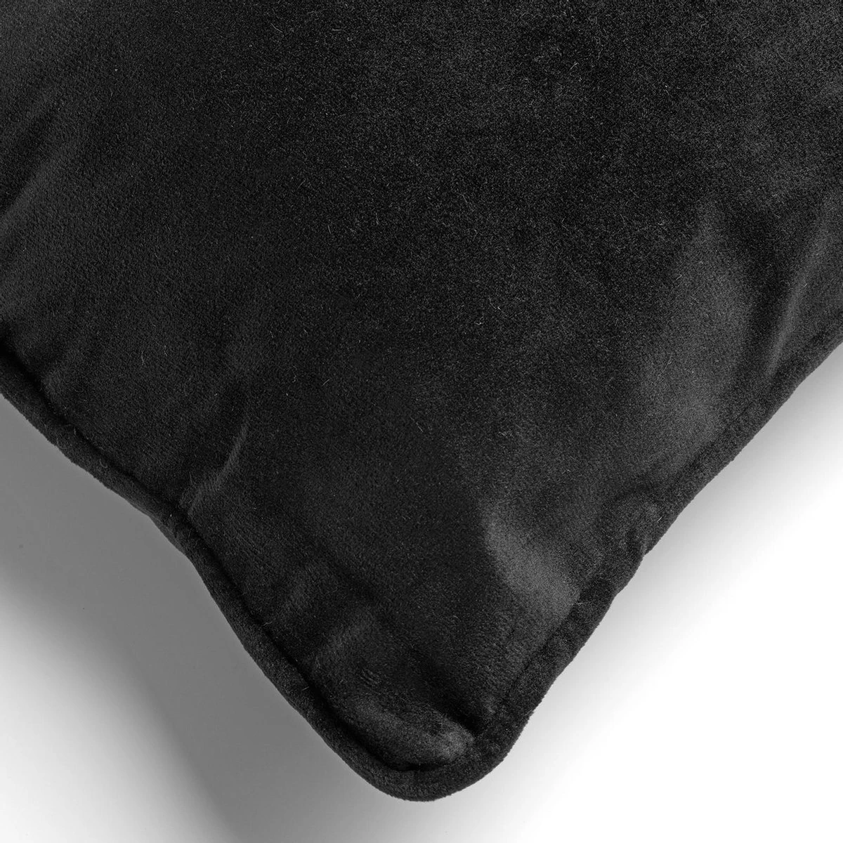 FINN - Sierkussen Velvet Raven 40x60 Cm - Zwart - Inclusief Binnenvulling 3 FINN - Sierkussen Velvet Raven 40x60 Cm - Zwart - Inclusief Binnenvulling - Afbeelding 3