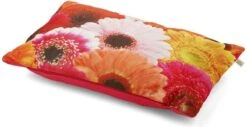 SAMARA - Sierkussen Gerbera's - Fuchsia - 30x50 Cm - Inclusief Binnenkussen -Dutch Decor 1200x616 1