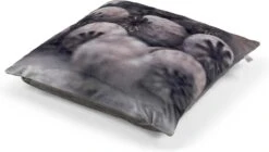 POPPY - Kussenhoes Velvet 45x45 Cm - Gedroogde Papaver - Taupe - Bruin - Met Rits -Dutch Decor 1200x678 1