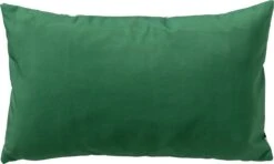 Dutch Decor - MANU - Kussenhoes Outdoor 30x50 Cm - Waterafstotend En Uv-bestendig - English Ivy - Wit - Buitenkussen - Tuinkussen - Loungekussen- Voor Buiten -Dutch Decor 1200x717 1