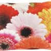 SAMARA - Sierkussen Gerbera's - Fuchsia - 30x50 Cm - Inclusief Binnenkussen