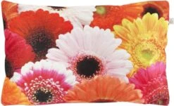 SAMARA - Sierkussen Gerbera's - Fuchsia - 30x50 Cm - Inclusief Binnenkussen