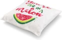 EVIE - Sierkussen Meloen 45x45 Cm - Ivoor / Wit - You're One In A Melon - Inclusief Binnenkussen -Dutch Decor 1200x770