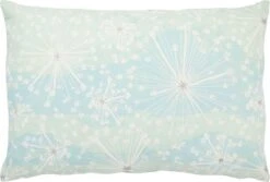 HAXO - Sierkussen 40x60 Cm - Lichtblauw - Lichtgroen - 100% Katoen - Inclusief Binnenkussen